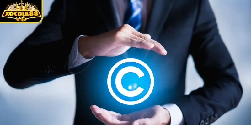 Các loại Bản Quyền phổ biến và ứng dụng thực tế 