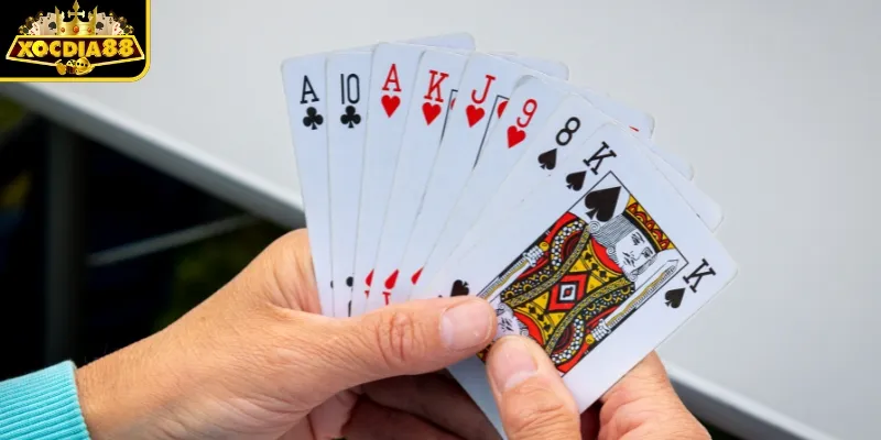 Phỏm là gì nguồn gốc và ý nghĩa của trò chơi 